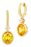 14kt Gold Plated Bezel Set Birthstone Earrings
