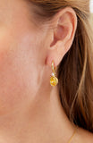 14kt Gold Plated Bezel Set Birthstone Earrings