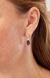 14kt Gold Plated Pear Shape Birthstone Earrings