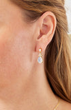 14kt Gold Plated Pear Shape Birthstone Earrings